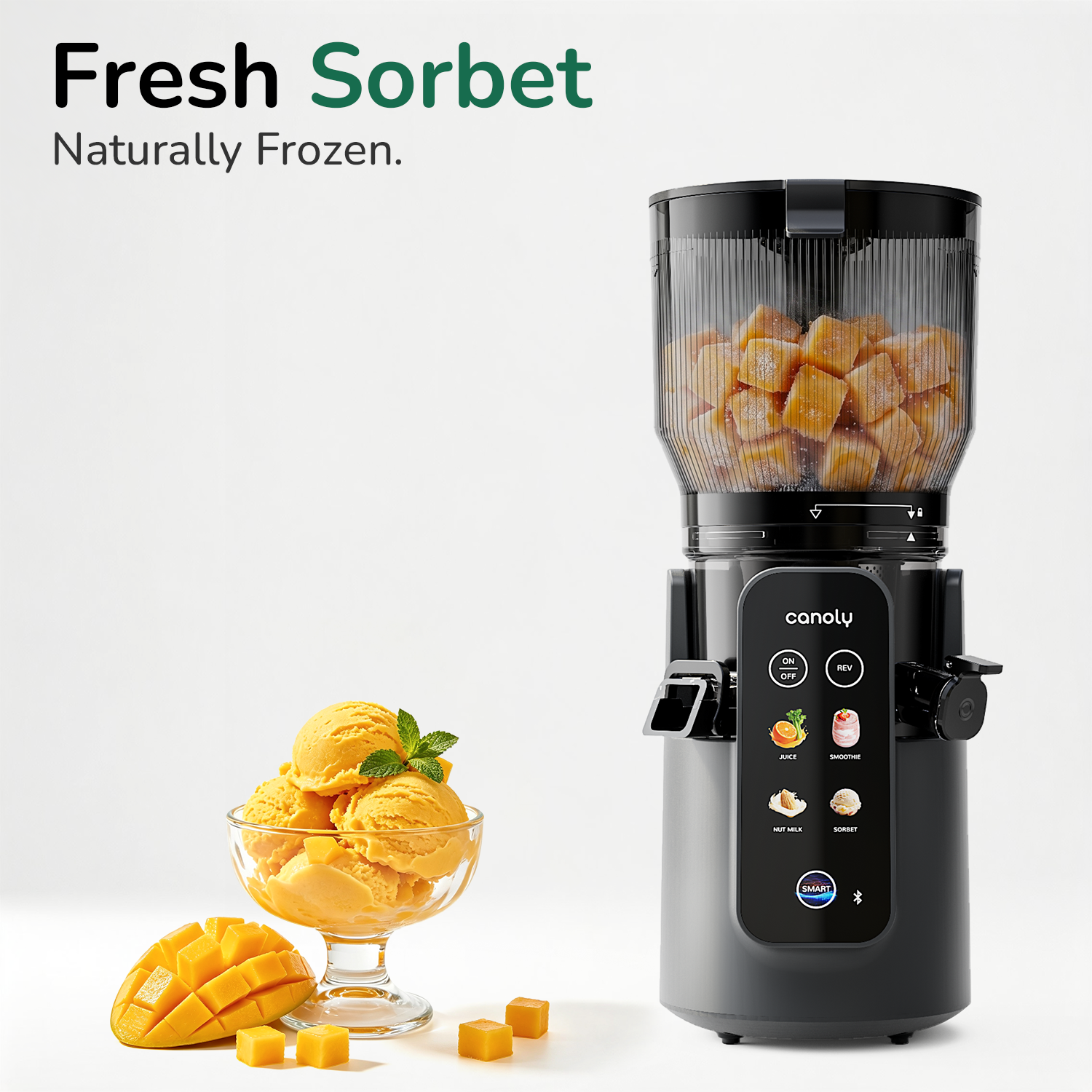 Canoly 4-in-1 Smart Cold Press Juicer C50