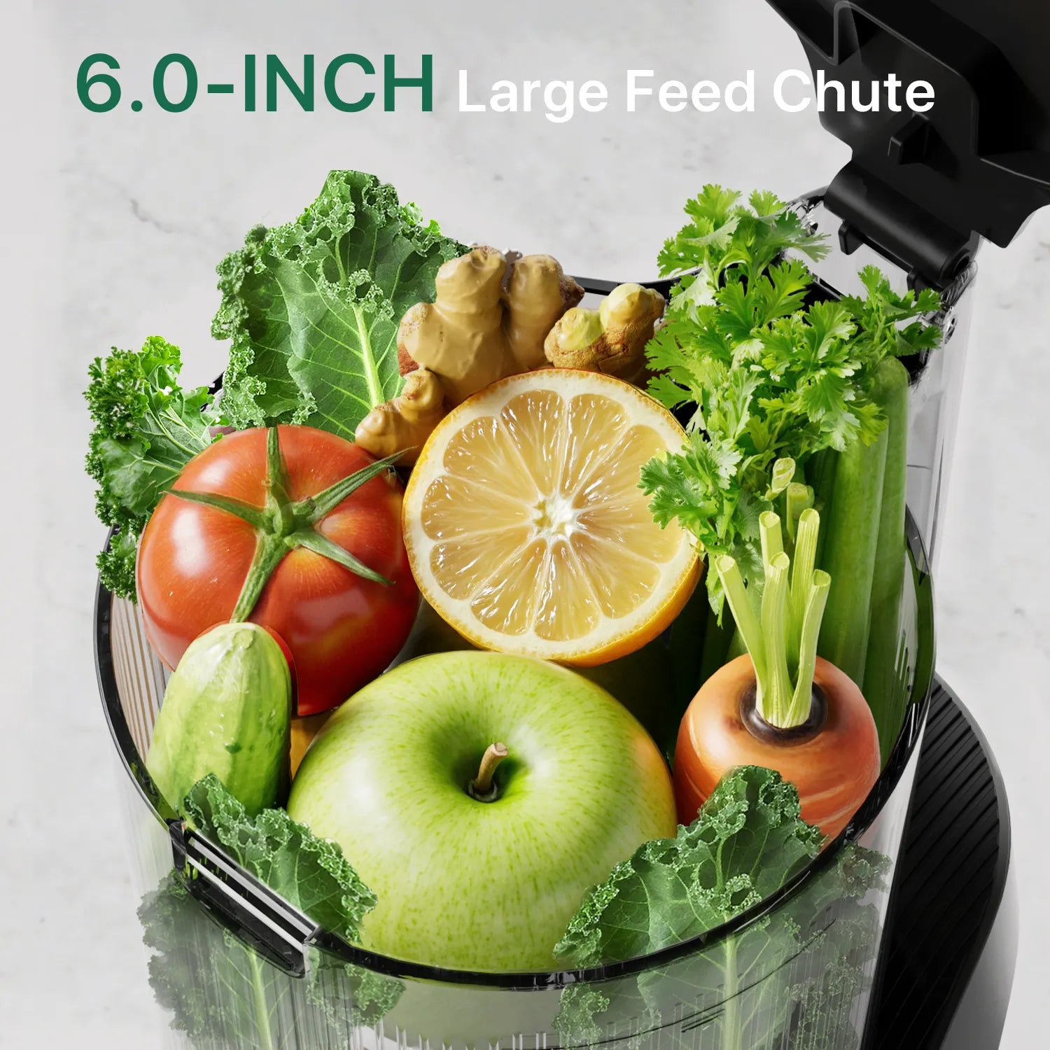 Canoly C16 large cold press juicer with extra large capacity feed chute