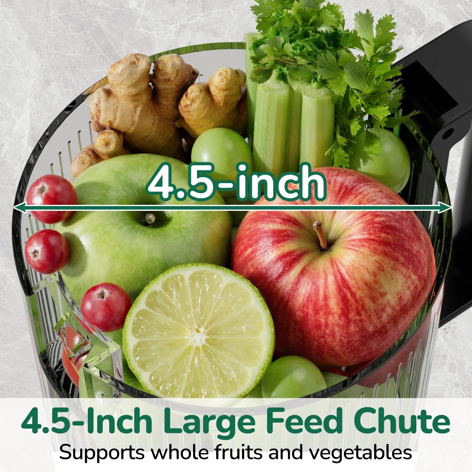 Slow masticating juicer-Canoly kitchen appliance