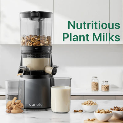Canoly C16 juicer making plant milk from walnuts and almonds with slow masticating, grey