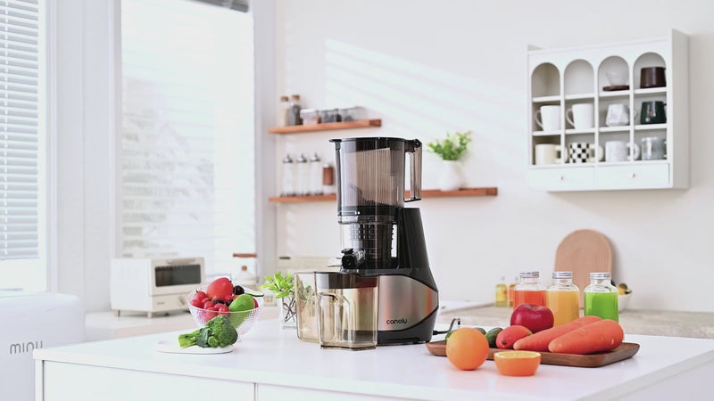 cold press juicer installation and usage guide-Canoly c09 cold press juicer