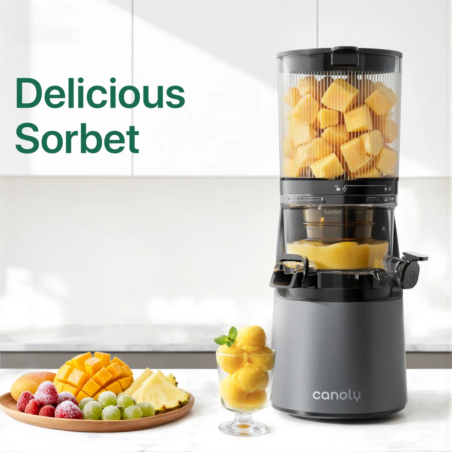 Canoly C16 slow juicer for frozen fruit, sorbet maker, grey