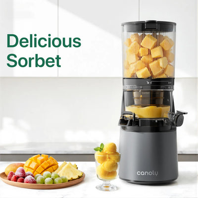 Canoly C16 slow juicer for frozen fruit, sorbet maker, grey